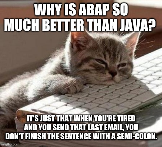 tired cat | WHY IS ABAP SO MUCH BETTER THAN JAVA? IT'S JUST THAT WHEN YOU'RE TIRED AND YOU SEND THAT LAST EMAIL, YOU DON'T FINISH THE SENTENCE WITH A SEMI-COLON. | image tagged in tired cat | made w/ Imgflip meme maker