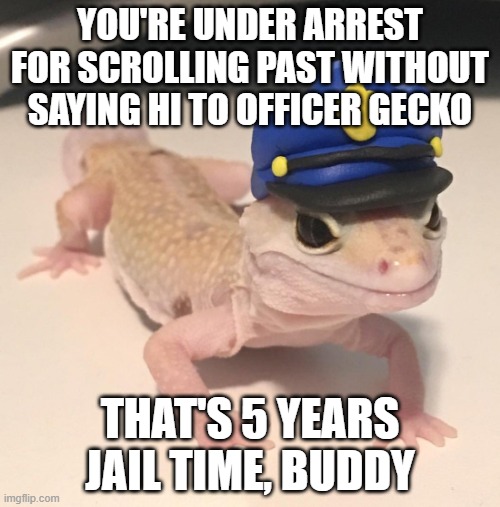 Officer Gecko Says Hi | YOU'RE UNDER ARREST FOR SCROLLING PAST WITHOUT SAYING HI TO OFFICER GECKO; THAT'S 5 YEARS JAIL TIME, BUDDY | image tagged in officer gecko | made w/ Imgflip meme maker