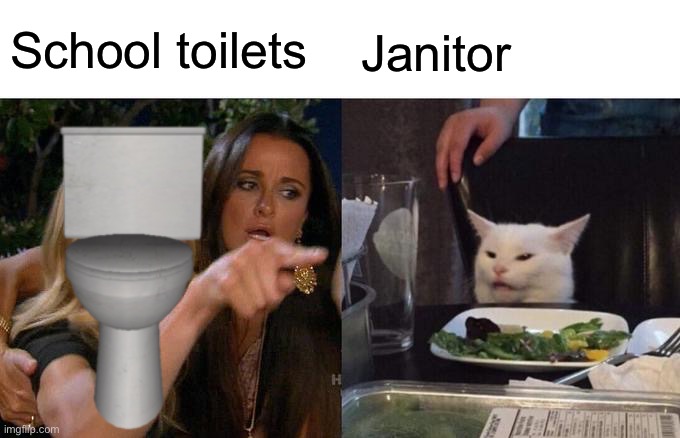 Woman Yelling At Cat Meme | School toilets; Janitor | image tagged in memes,woman yelling at cat | made w/ Imgflip meme maker