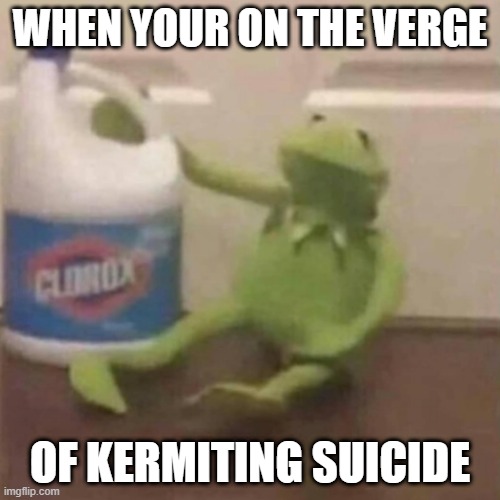 ahhh yes I remember posting this on my other account | WHEN YOUR ON THE VERGE; OF KERMITING SUICIDE | image tagged in memes,funny | made w/ Imgflip meme maker