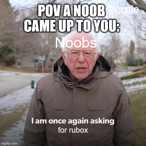 no i dont have rubox stop begging me. | POV A NOOB CAME UP TO YOU:; Noobs; for rubox | image tagged in memes,bernie i am once again asking for your support | made w/ Imgflip meme maker