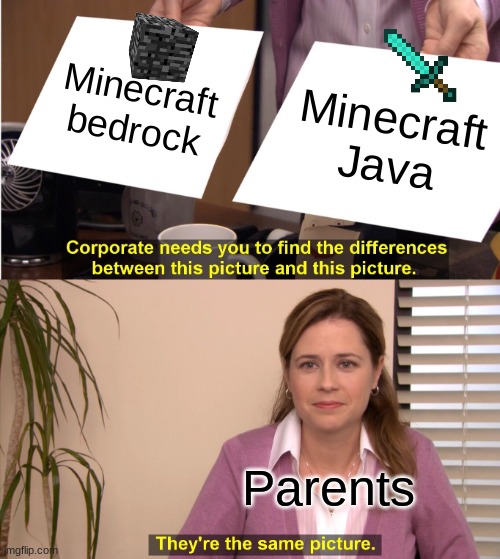 Mincraft | Minecraft bedrock; Minecraft Java; Parents | image tagged in memes,they're the same picture | made w/ Imgflip meme maker