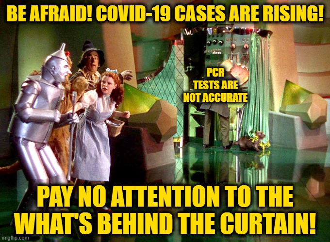 pull back the curtain | BE AFRAID! COVID-19 CASES ARE RISING! PCR TESTS ARE NOT ACCURATE; PAY NO ATTENTION TO THE WHAT'S BEHIND THE CURTAIN! | image tagged in pull back the curtain | made w/ Imgflip meme maker