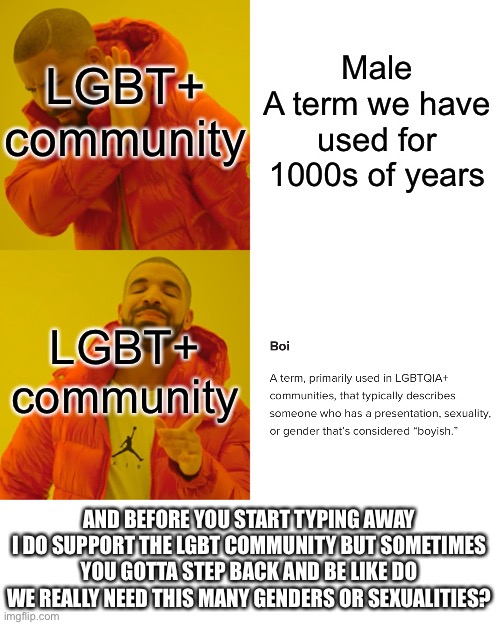 Drake Hotline Bling Meme | Male
A term we have used for 1000s of years; LGBT+ community; LGBT+ community; AND BEFORE YOU START TYPING AWAY I DO SUPPORT THE LGBT COMMUNITY BUT SOMETIMES YOU GOTTA STEP BACK AND BE LIKE DO WE REALLY NEED THIS MANY GENDERS OR SEXUALITIES? | image tagged in memes,drake hotline bling | made w/ Imgflip meme maker