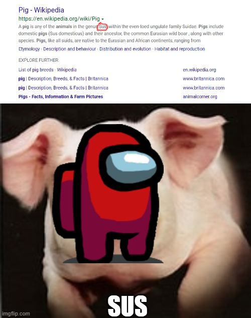 sus pig | SUS | image tagged in pig,among us | made w/ Imgflip meme maker