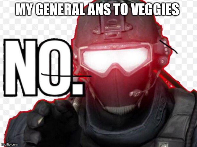 No | MY GENERAL ANSWER  TO VEGGIES | image tagged in russian badger | made w/ Imgflip meme maker