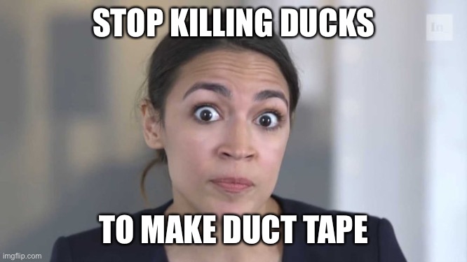 AOC | STOP KILLING DUCKS; TO MAKE DUCT TAPE | image tagged in crazy alexandria ocasio-cortez | made w/ Imgflip meme maker