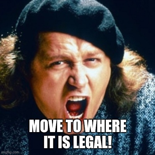 Sam kinison | MOVE TO WHERE IT IS LEGAL! | image tagged in sam kinison | made w/ Imgflip meme maker