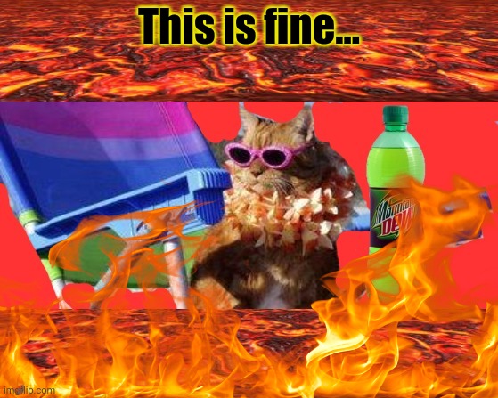 Heck cat | This is fine... | image tagged in this is fine,cat,version,heck,worst vacation ever | made w/ Imgflip meme maker