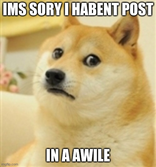 Sad Doge |  IMS SORY I HABENT POST; IN A AWILE | image tagged in sad doge,doge,sorry,sad | made w/ Imgflip meme maker