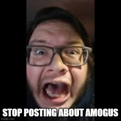 STOP. POSTING. ABOUT AMONG US | STOP POSTING ABOUT AMOGUS | image tagged in stop posting about among us | made w/ Imgflip meme maker
