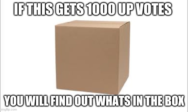 the box | IF THIS GETS 1000 UP VOTES; YOU WILL FIND OUT WHATS IN THE BOX | image tagged in whats in the box | made w/ Imgflip meme maker
