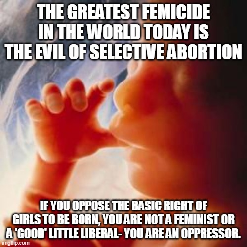 Abortion is murder. | THE GREATEST FEMICIDE IN THE WORLD TODAY IS THE EVIL OF SELECTIVE ABORTION; IF YOU OPPOSE THE BASIC RIGHT OF GIRLS TO BE BORN, YOU ARE NOT A FEMINIST OR A 'GOOD' LITTLE LIBERAL- YOU ARE AN OPPRESSOR. | image tagged in fetus,abortion,abortion is murder,liberal logic,demonic | made w/ Imgflip meme maker