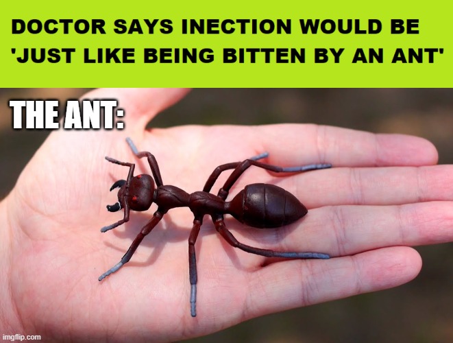 THE ANT: | made w/ Imgflip meme maker