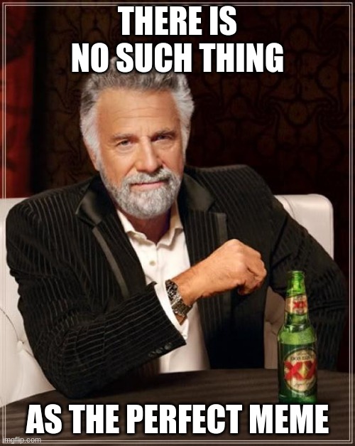 what | THERE IS NO SUCH THING; AS THE PERFECT MEME | image tagged in memes,the most interesting man in the world | made w/ Imgflip meme maker