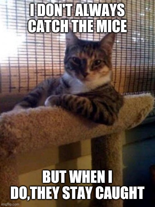 The Most Interesting Cat In The World Meme |  I DON'T ALWAYS CATCH THE MICE; BUT WHEN I DO,THEY STAY CAUGHT | image tagged in memes,the most interesting cat in the world | made w/ Imgflip meme maker