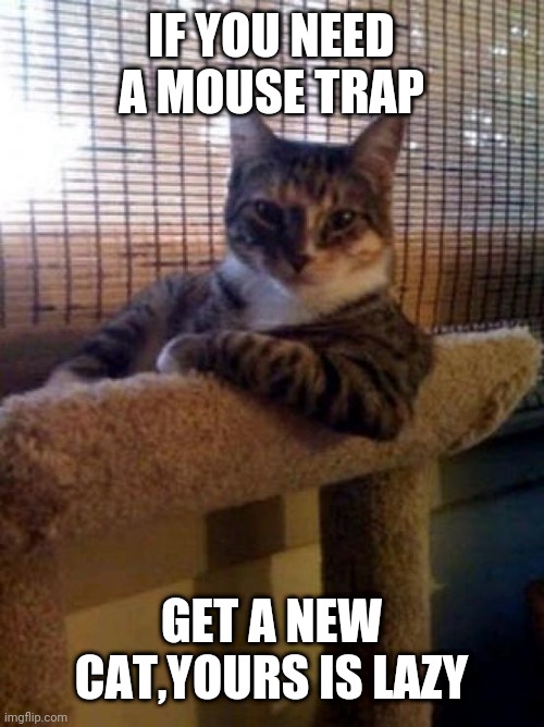 The Most Interesting Cat In The World Meme |  IF YOU NEED A MOUSE TRAP; GET A NEW CAT,YOURS IS LAZY | image tagged in memes,the most interesting cat in the world | made w/ Imgflip meme maker