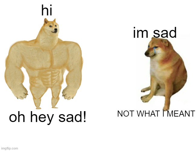 BIG DOGE DUMB | hi; im sad; NOT WHAT I MEANT; oh hey sad! | image tagged in memes,buff doge vs cheems | made w/ Imgflip meme maker