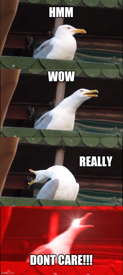 Inhaling Seagull | HMM; WOW; REALLY; DONT CARE!!! | image tagged in memes,inhaling seagull | made w/ Imgflip meme maker