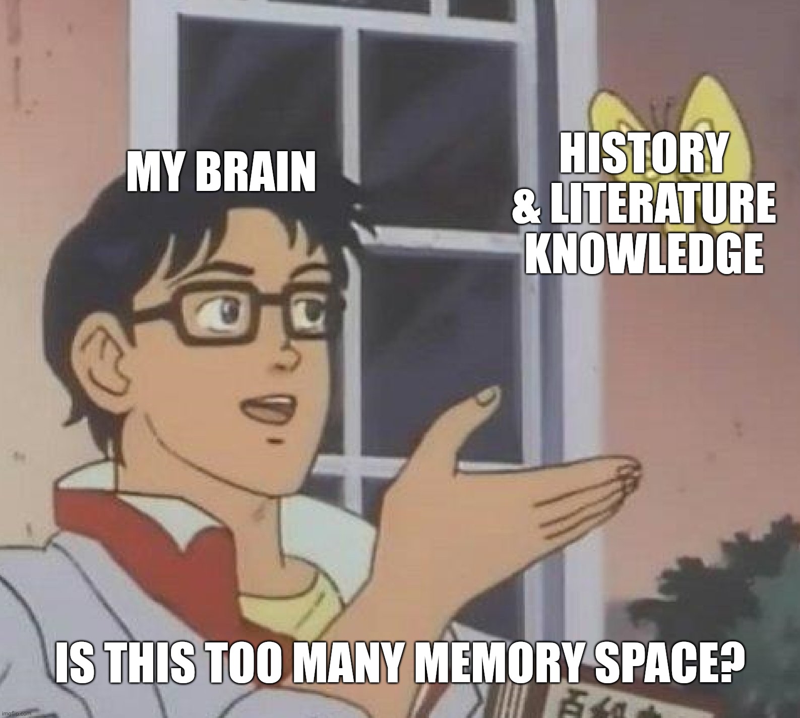 Is This A Pigeon | MY BRAIN; HISTORY & LITERATURE KNOWLEDGE; IS THIS TOO MANY MEMORY SPACE? | image tagged in memes,is this a pigeon | made w/ Imgflip meme maker