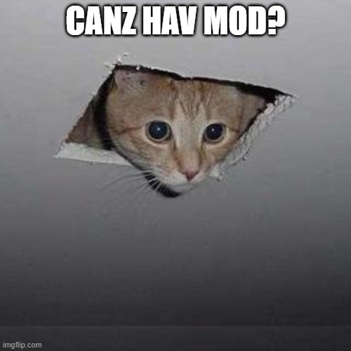 and my normal one | CANZ HAV MOD? | image tagged in memes,ceiling cat | made w/ Imgflip meme maker