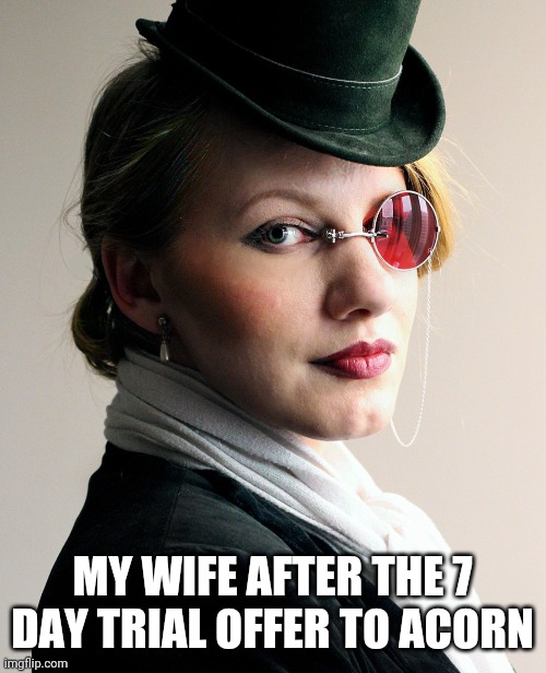 MY WIFE AFTER THE 7 DAY TRIAL OFFER TO ACORN | image tagged in funny memes | made w/ Imgflip meme maker