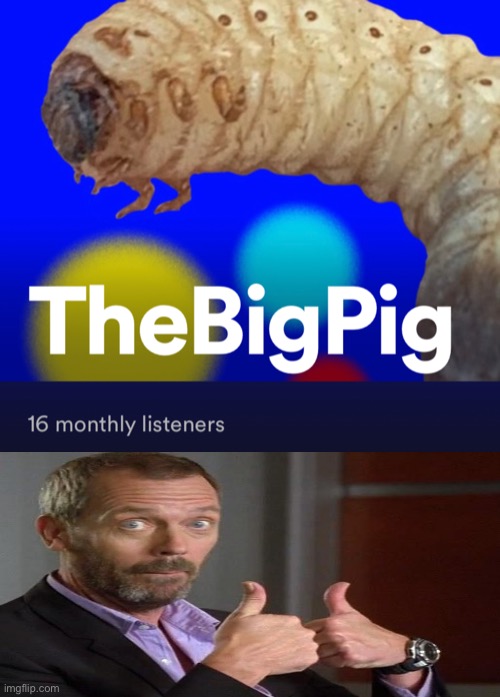 16 monthly listeners ain’t bad. | image tagged in stop,advertising,your,spotify,you stupid,pig | made w/ Imgflip meme maker