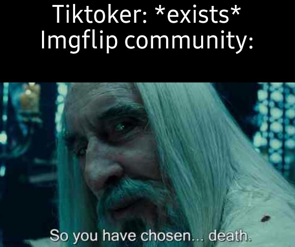I just don't get it. | Tiktoker: *exists*
Imgflip community: | image tagged in so you have chosen death,tiktok,why | made w/ Imgflip meme maker
