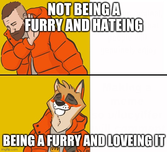 Furry Drake | NOT BEING A FURRY AND HATEING; BEING A FURRY AND LOVEING IT | image tagged in furry drake | made w/ Imgflip meme maker