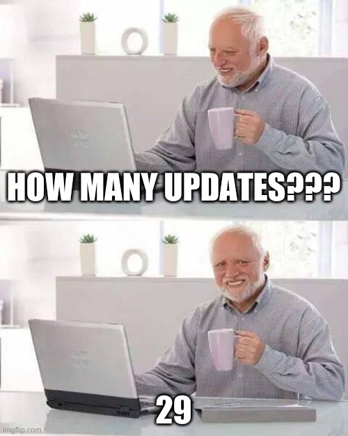 oof | HOW MANY UPDATES??? 29 | image tagged in memes,hide the pain harold | made w/ Imgflip meme maker