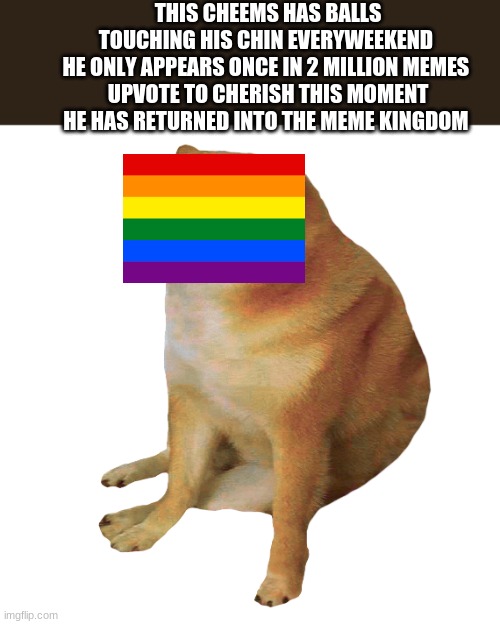 Mr ozone gave me the idea to think this out 5 upvotes and i post this in lgbtq stream and try to hit front page | THIS CHEEMS HAS BALLS TOUCHING HIS CHIN EVERYWEEKEND 
HE ONLY APPEARS ONCE IN 2 MILLION MEMES 
UPVOTE TO CHERISH THIS MOMENT HE HAS RETURNED INTO THE MEME KINGDOM | image tagged in cheems | made w/ Imgflip meme maker