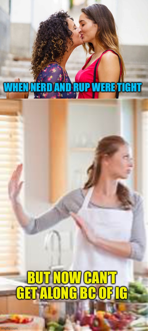 Things change | WHEN NERD AND RUP WERE TIGHT; BUT NOW CAN’T GET ALONG BC OF IG | image tagged in what | made w/ Imgflip meme maker