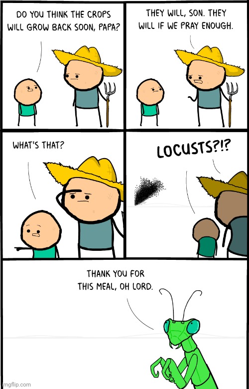 Locusts | image tagged in cyanide and happiness,cyanide,comics/cartoons,comics,comic,insects | made w/ Imgflip meme maker