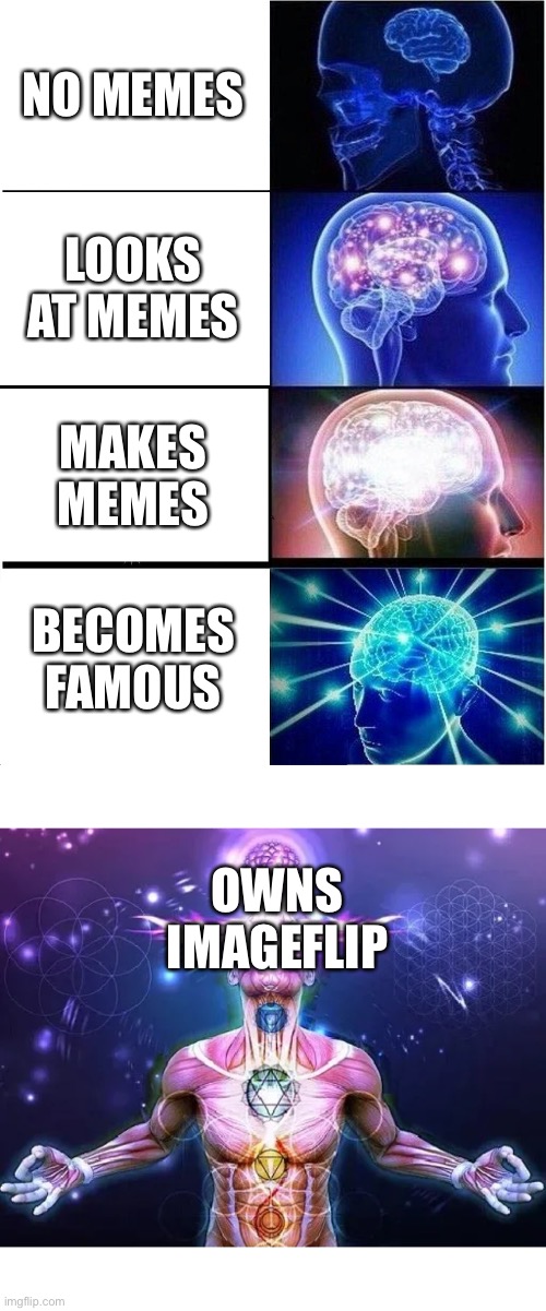 NO MEMES; LOOKS AT MEMES; MAKES MEMES; BECOMES FAMOUS; OWNS IMAGEFLIP | image tagged in memes,expanding brain | made w/ Imgflip meme maker