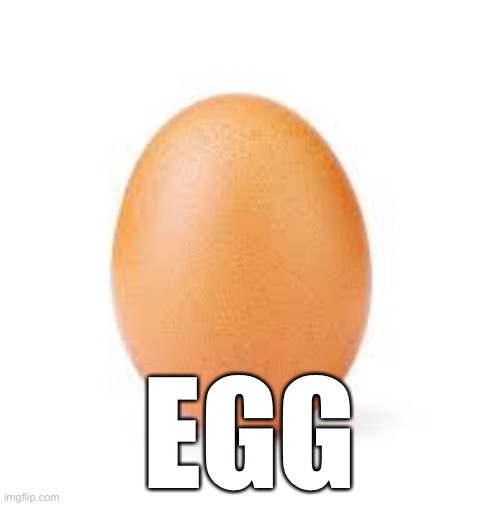 . | EGG | image tagged in memes | made w/ Imgflip meme maker