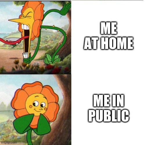 Cuphead Flower | ME AT HOME; ME IN PUBLIC | image tagged in cuphead flower | made w/ Imgflip meme maker