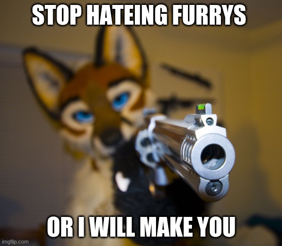 Furry with gun | STOP HATEING FURRYS; OR I WILL MAKE YOU | image tagged in furry with gun | made w/ Imgflip meme maker