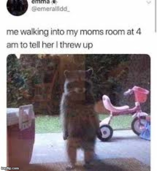 HAA | made w/ Imgflip meme maker
