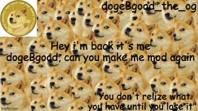 hey | Hey i'm back it's me dogeBgood, can you make me mod again | image tagged in doge,new temp | made w/ Imgflip meme maker