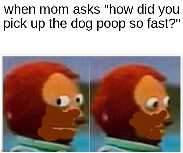 Monkey Puppet | when mom asks "how did you pick up the dog poop so fast?" | image tagged in memes,monkey puppet,funny memes,poop,popular,dogs | made w/ Imgflip meme maker