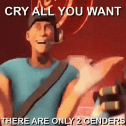 Animated Gif Imgflip