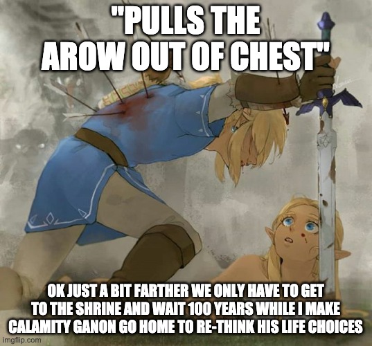 Link and zelda | "PULLS THE AROW OUT OF CHEST"; OK JUST A BIT FARTHER WE ONLY HAVE TO GET TO THE SHRINE AND WAIT 100 YEARS WHILE I MAKE CALAMITY GANON GO HOME TO RE-THINK HIS LIFE CHOICES | image tagged in link and zelda | made w/ Imgflip meme maker