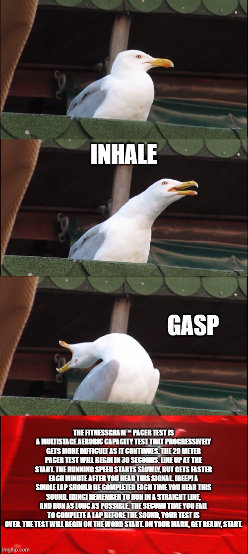 Inhaling Seagull Meme |  INHALE; GASP; THE FITNESSGRAM™ PACER TEST IS A MULTISTAGE AEROBIC CAPACITY TEST THAT PROGRESSIVELY GETS MORE DIFFICULT AS IT CONTINUES. THE 20 METER PACER TEST WILL BEGIN IN 30 SECONDS. LINE UP AT THE START. THE RUNNING SPEED STARTS SLOWLY, BUT GETS FASTER EACH MINUTE AFTER YOU HEAR THIS SIGNAL. [BEEP] A SINGLE LAP SHOULD BE COMPLETED EACH TIME YOU HEAR THIS SOUND. [DING] REMEMBER TO RUN IN A STRAIGHT LINE, AND RUN AS LONG AS POSSIBLE. THE SECOND TIME YOU FAIL TO COMPLETE A LAP BEFORE THE SOUND, YOUR TEST IS OVER. THE TEST WILL BEGIN ON THE WORD START. ON YOUR MARK, GET READY, START. | image tagged in memes,inhaling seagull | made w/ Imgflip meme maker