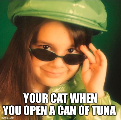 Green pleather girl | YOUR CAT WHEN YOU OPEN A CAN OF TUNA | image tagged in green pleather girl | made w/ Imgflip meme maker