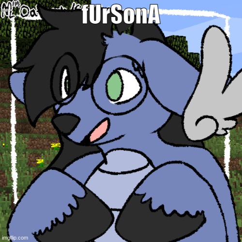 fursona thing | fUrSonA | image tagged in fursona thing | made w/ Imgflip meme maker
