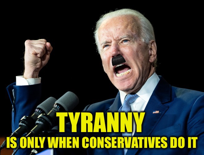 Herr fuhrer | TYRANNY IS ONLY WHEN CONSERVATIVES DO IT | image tagged in herr fuhrer | made w/ Imgflip meme maker