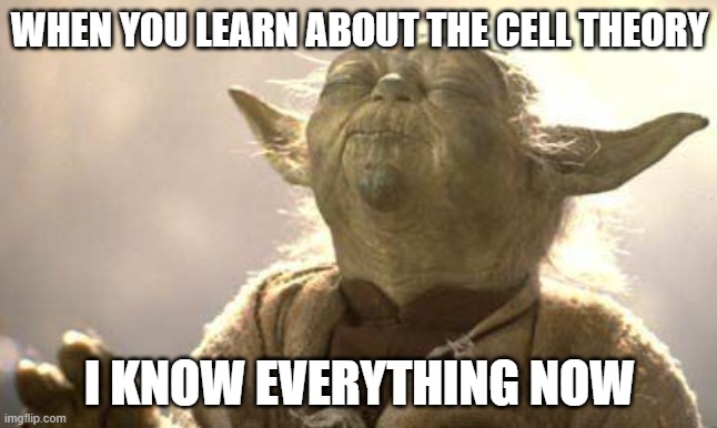 Yoda Meditating | WHEN YOU LEARN ABOUT THE CELL THEORY; I KNOW EVERYTHING NOW | image tagged in yoda meditating | made w/ Imgflip meme maker
