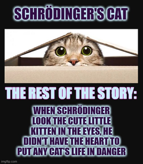 Cat in a box | SCHRÖDINGER'S CAT; WHEN SCHRÖDINGER LOOK THE CUTE LITTLE KITTEN IN THE EYES, HE DIDN'T HAVE THE HEART TO PUT ANY CAT'S LIFE IN DANGER; THE REST OF THE STORY: | image tagged in cat in a box | made w/ Imgflip meme maker
