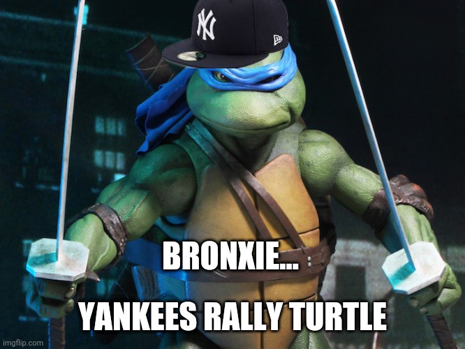 Bronxie | BRONXIE... YANKEES RALLY TURTLE | image tagged in volume turtle | made w/ Imgflip meme maker