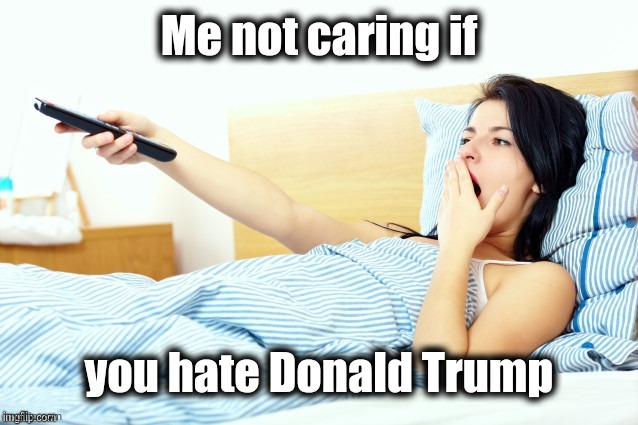 Boooriiing | Me not caring if you hate Donald Trump | image tagged in boooriiing | made w/ Imgflip meme maker